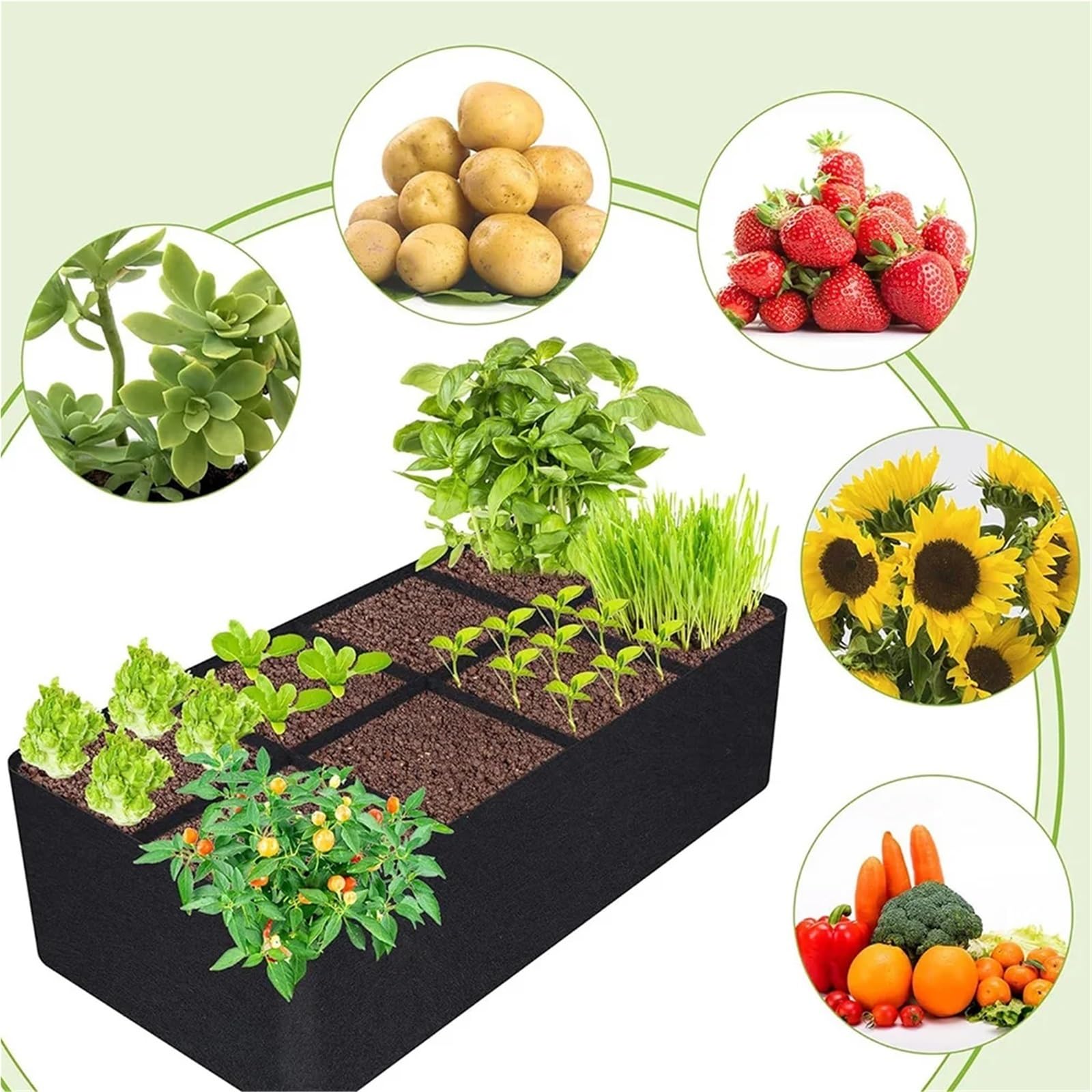Bolsa De Cultivo para Plantas Garden Plant Planting Bag 8 Girds Felt Growing Rectangle Nursery Pot Vegetable Tomato Potato Container(180x90x30cm)