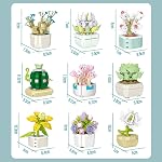 Succulent Plant Building Blocks Set, 9 Tiny Plants Kit with Display Frame for Botanical Collection and Decor, Succulents Bonsai Toy for Teens and Adults, 854 PCS