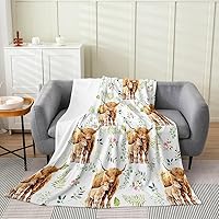 Vista 23 de Erosebridal Manta de arco iris para niñas, tamaño individual de 60 x 80, manta de sol y estrellas para niños y niños, manta de forro polar de nube