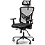 NOBLEWELL Office Chair Ergonomic Office Chair High Back Mesh Computer Chair with Lumbar Support Adjustable Armrest, Backrest