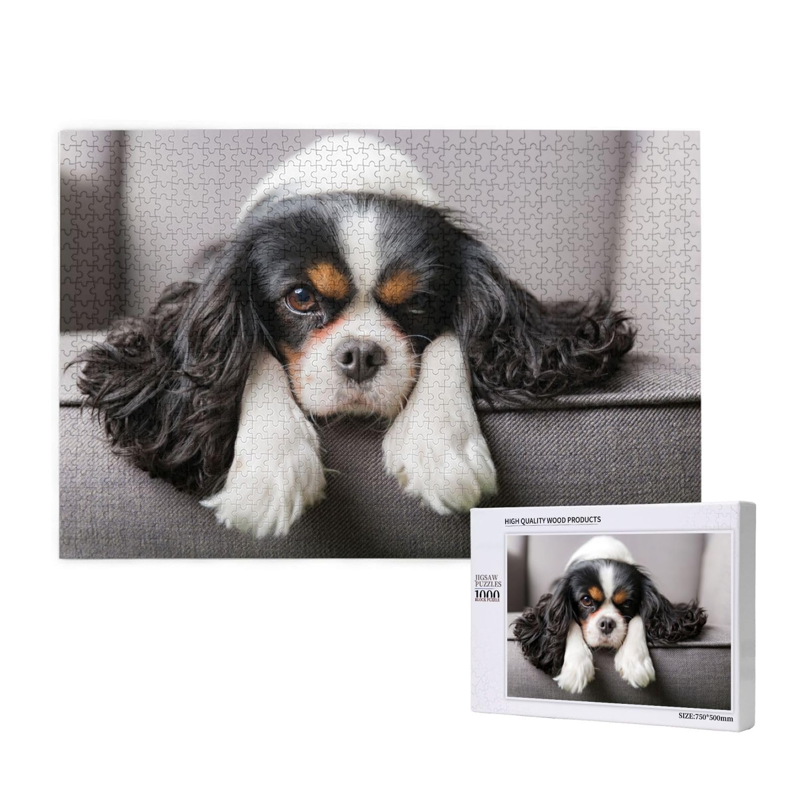 Gioco di puzzle per adulti, puzzle impegnativi, puzzle da 1000 pezzi, cane Cavalier King Charles Spaniel