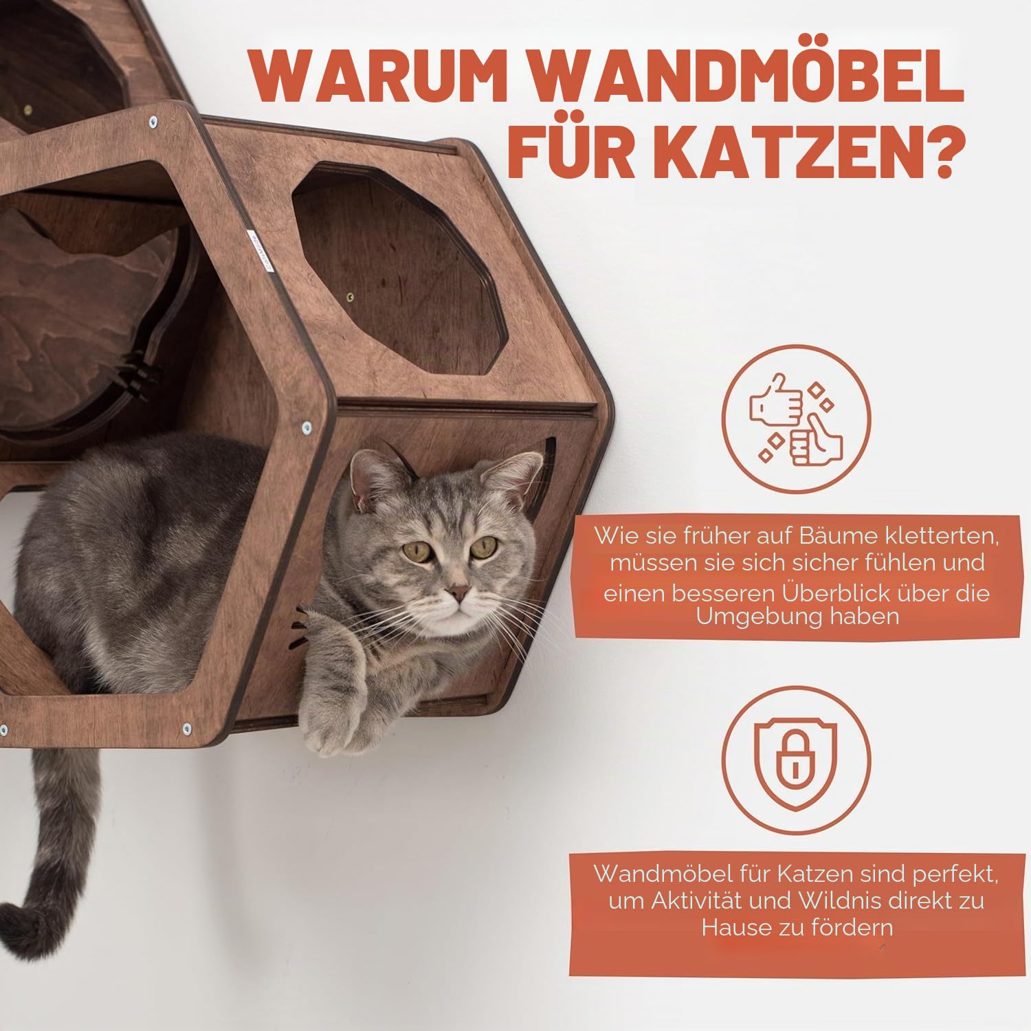 Rustikales Katzenregal aus Holz – Wandmontierte Katzenmöbel – Indoor-Katzen-Dekor-Geschenk
