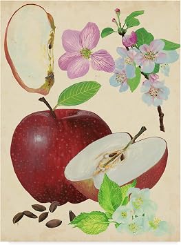 Trademark Fine Art Apple and Blossom Study I by Melissa Wang, 18x24