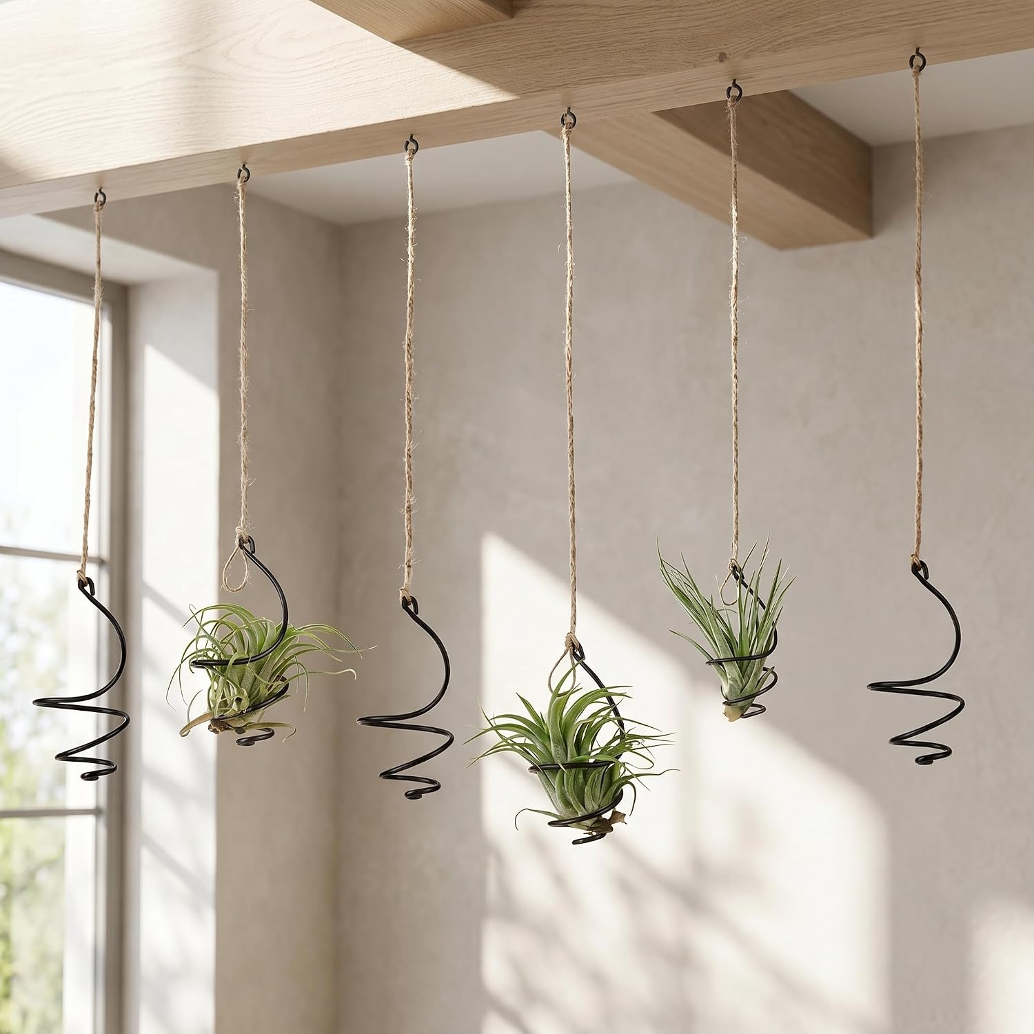 6 Pack Air Plant Holders with Jute Rope, Hanging Spiral Tillandsia Holders, Metal Air Plant Display Supports for Soilless Plants, Succulents, Home Office Decor