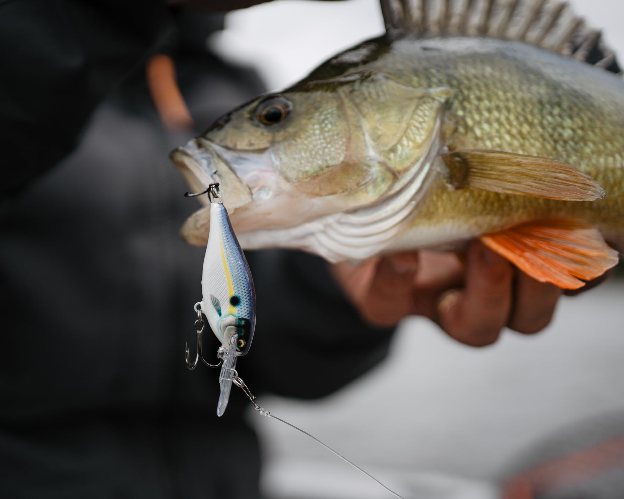 50 pezzi Moschettoni da pesca con cuscinetti a sfera, girelle