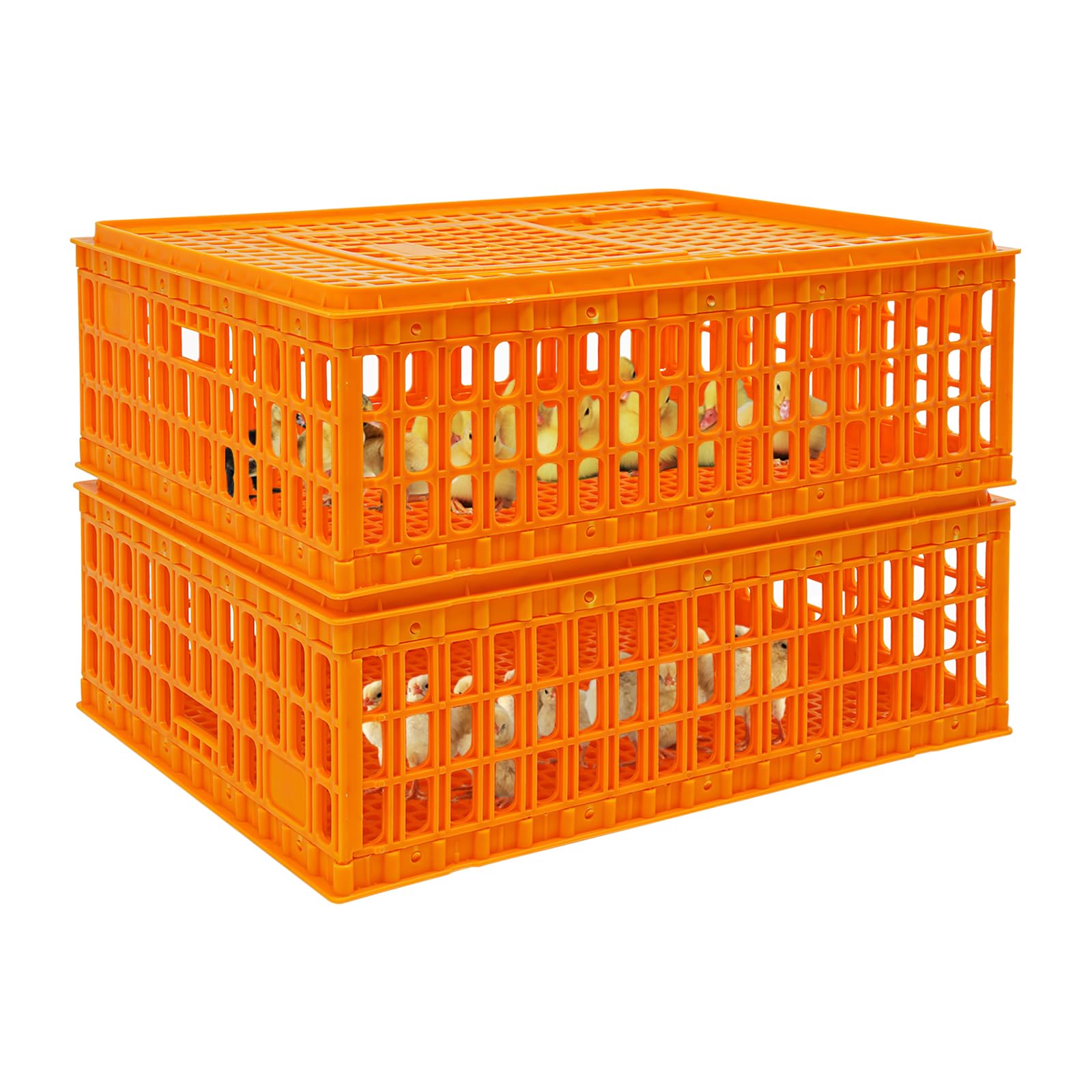 Transportín para aves de corral, 2 unidades, capacidad de carga de 200 kg, para pollo, pájaro, pato, ganso, 77 x 55 x 27 cm