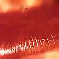 The CURE Kiss Me Kiss Me Kiss Me レコード Amazon.co.jp: Kiss Me Kiss Me Kiss Me: ミュージック