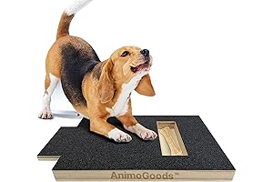 AnimoGoods™️ Dog Nail Scratch Board with Treat Box