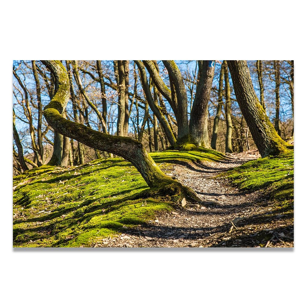 VHdfgTY Lateral GrowthLarge Mountain Landscape Canvas Wall Art Nature Scenery for Home Decor 30x45cm Unframed