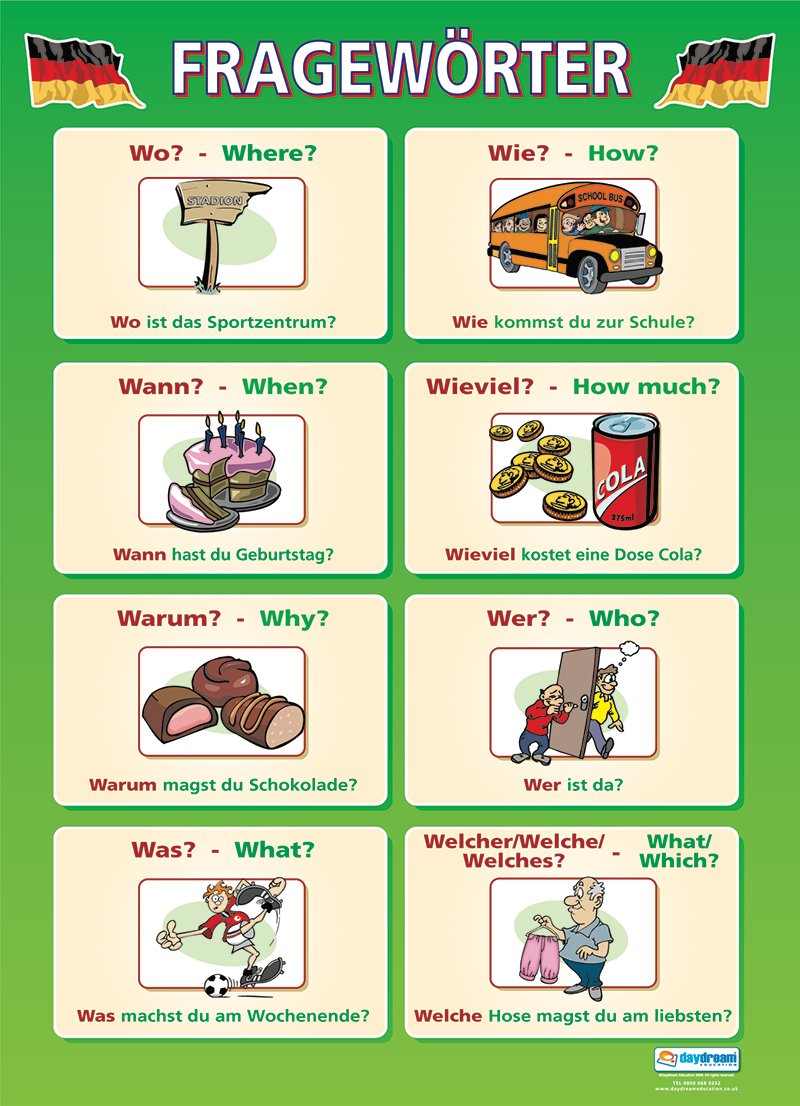 Les Activitiés Et Les Opinions | Affiches D'apprentissage Des Langues | Papier Brillant Mesurant 850