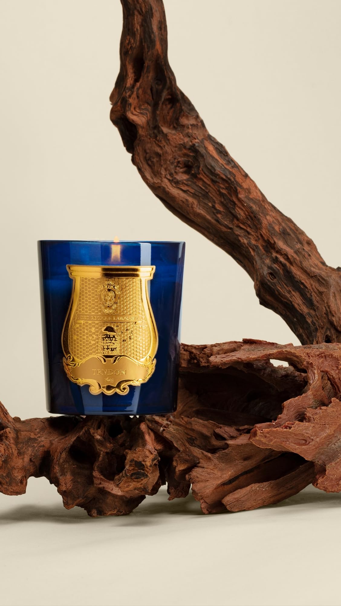 Amazon.co.jp: Cire Trudon 限定版 タディンキャンドル 9.5オンス
