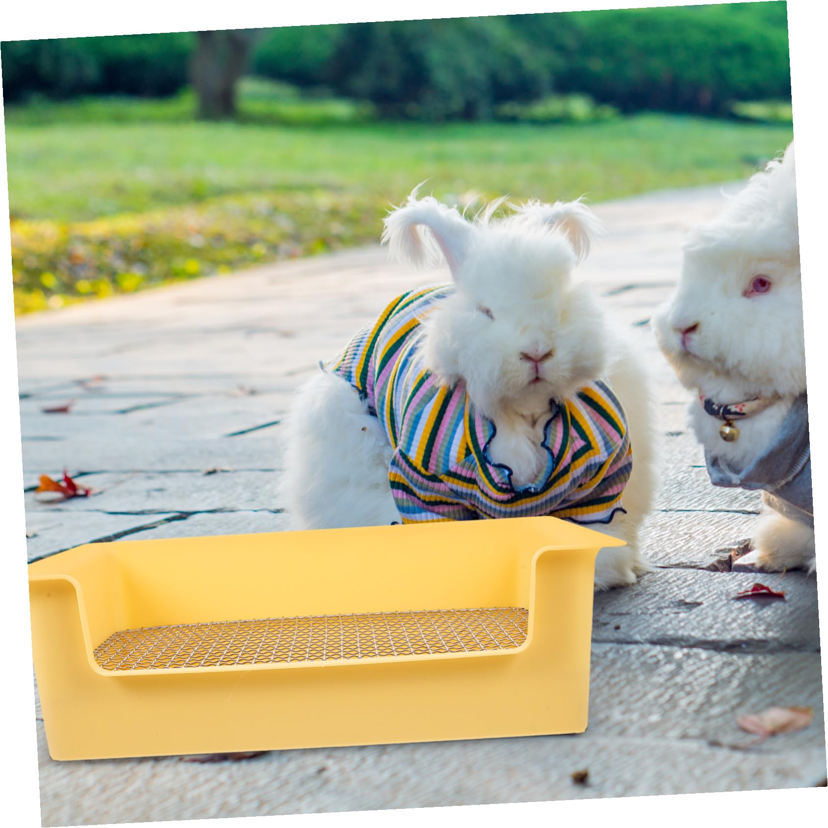 GALPADA Lettiere per Conigli in Plastica Rettangolare Giallo Ampio Spazio attività e Prevenzione Graffi per Zampe, per Piccoli Animali in Bagno o Cucina