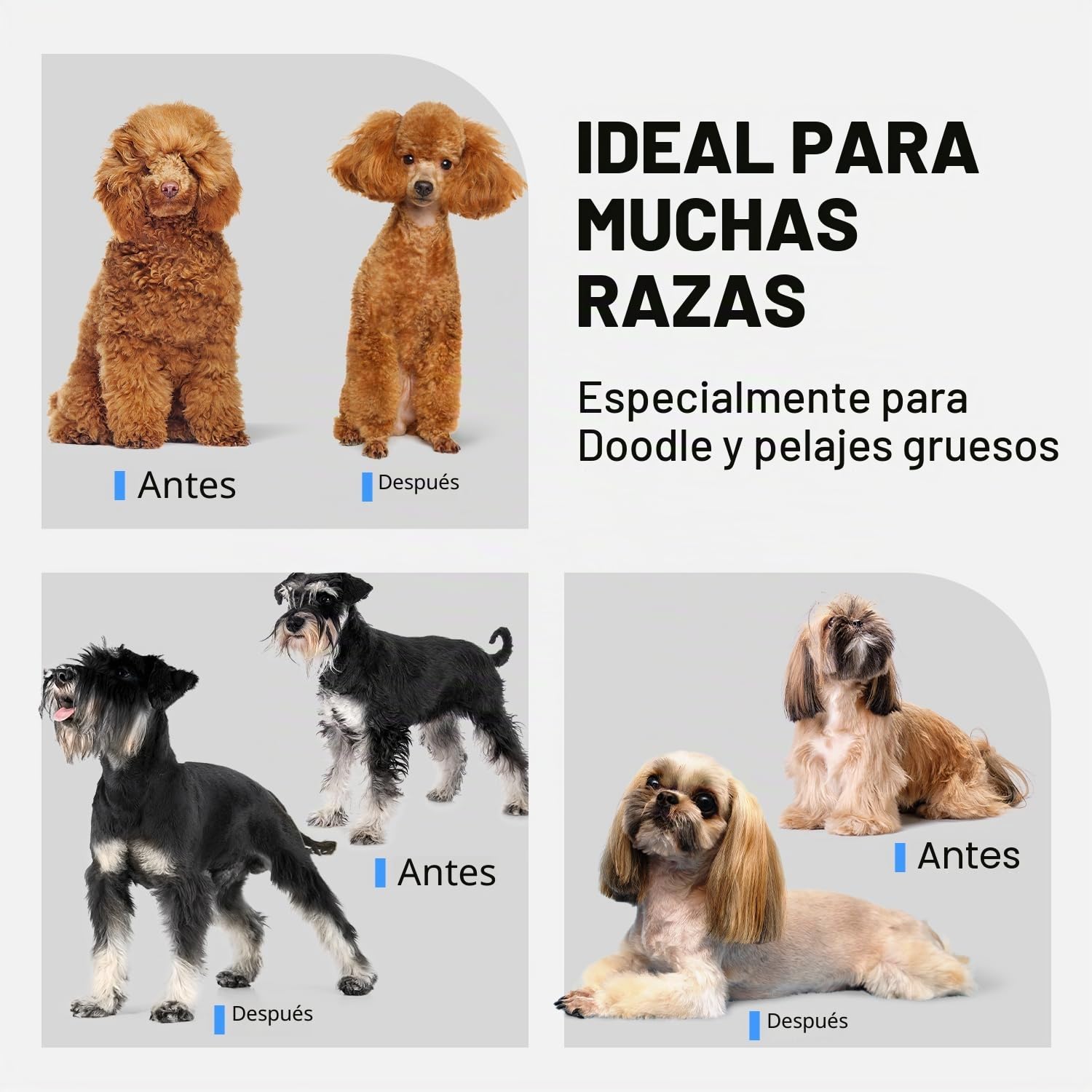Maquina Cortar Pelo Perros, Cortapelos para Perros con Cuchillas de Cerámica, Inalámbrico Máquina de Cortar Pelo Perro, Apta para Largo y Pelo Grueso,Plata