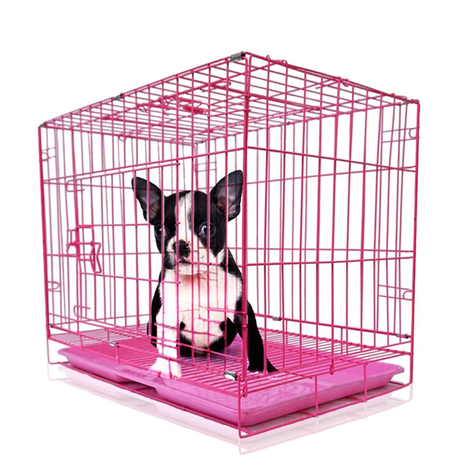 Vibrant Life Walmart Dog Crates Vibrant Life Dog Crates For Sale