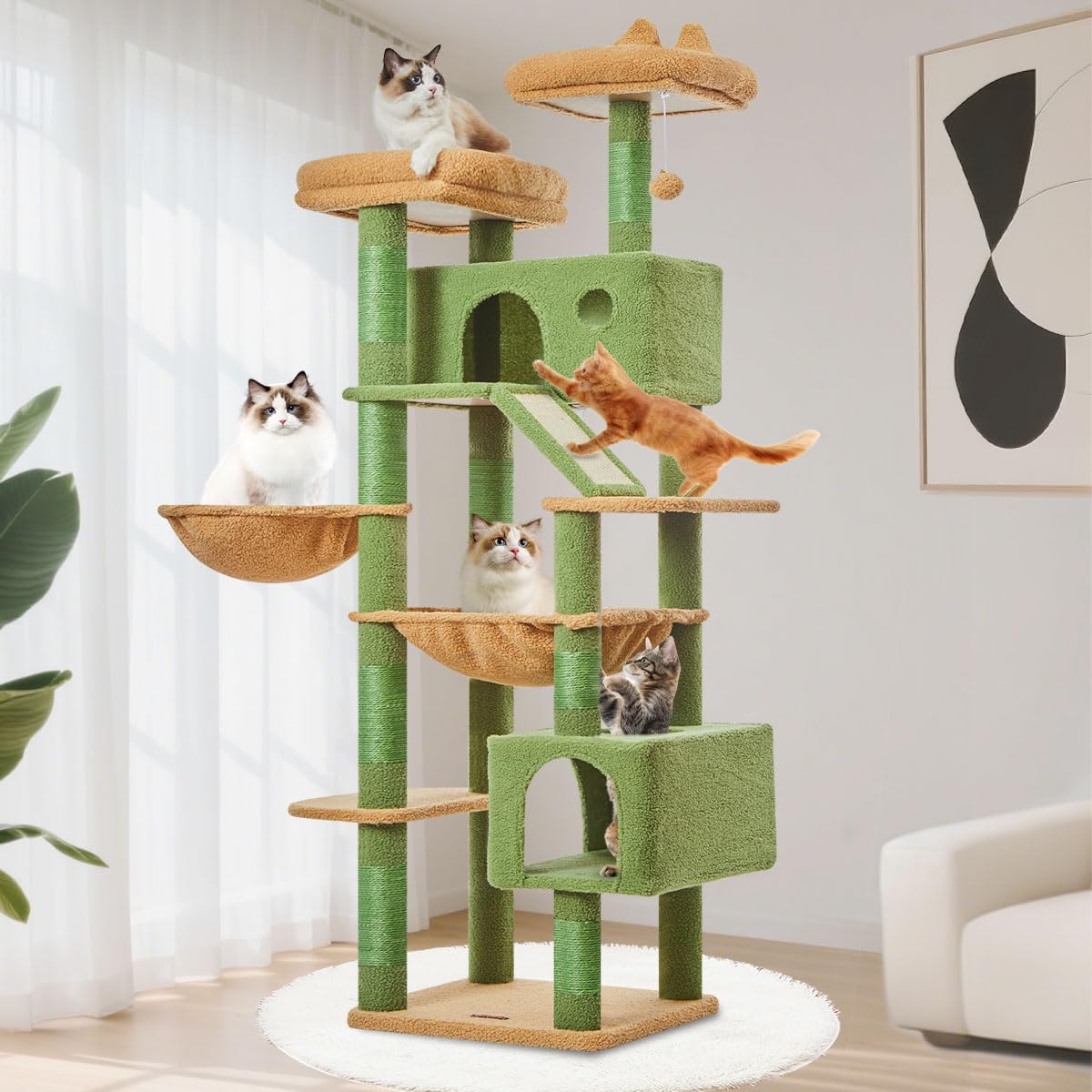 Spacious Comfort, Tailored for Large Cat Friends