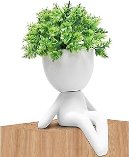 Zerzsy Fake Plant Room Decor - Funny Desk Decorations for Women - Cute Decoration for Work Office Plants for Desk Succulent for Women Office - Set of 1