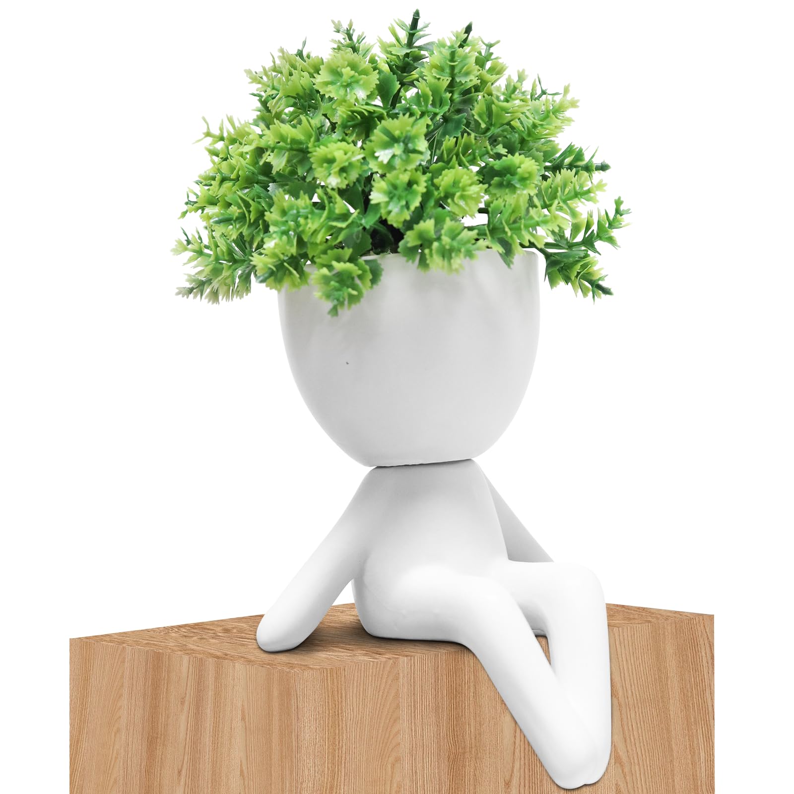 Zerzsy Fake Plant Room Decor