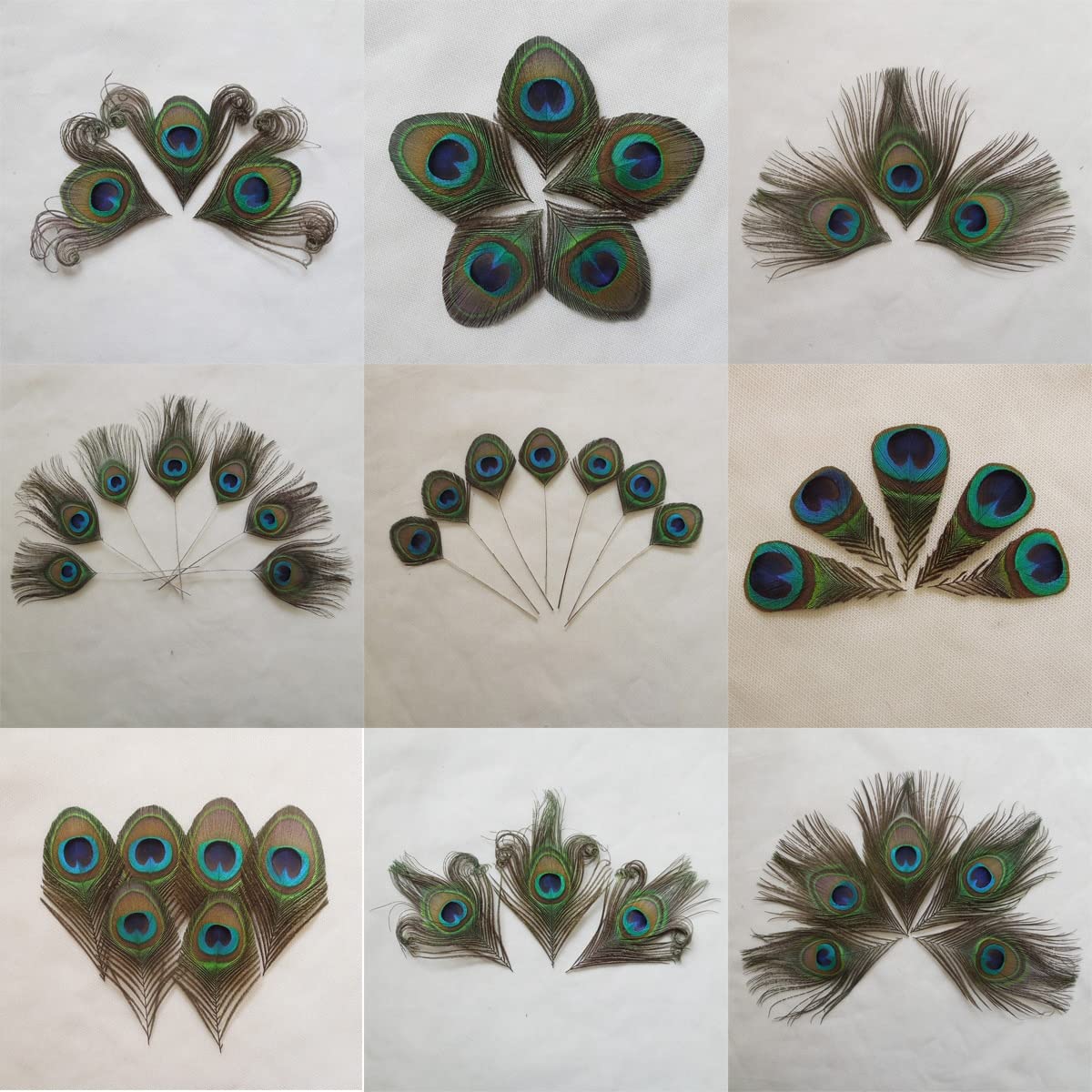 Pióra z pióra pawia, Opakowanie 10 naturalnych przyciętych piór pawich oczu, 6-18 cm(10)