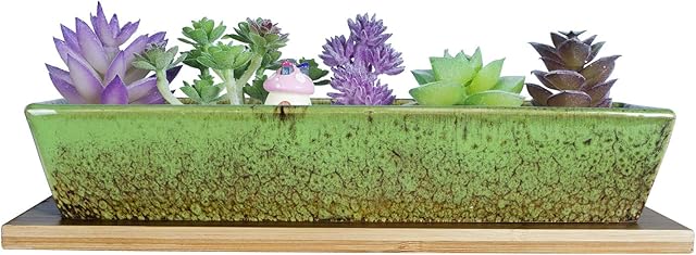 ARTKETTY 25cm Ceramic Succulent Plant Pots, Modern Long Rectangle Flower Plant Containers with Tray, Shallow Cactus Bonsai Window Box with Drainage for Indoor/Outdoor Home Decor(Green)