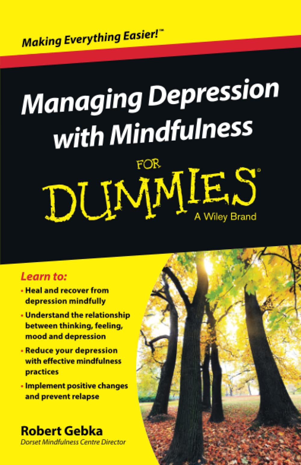 Managing Depression with Mindfulness For Dummies