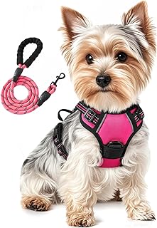 Hundegeschirr und Leine, Set für kleine Hunde, verstellbar, reflektierend, Anti-Ziehen, Haustierweste, Geschirr für Spaziergänge im Freien, Rosenrot, Größe S