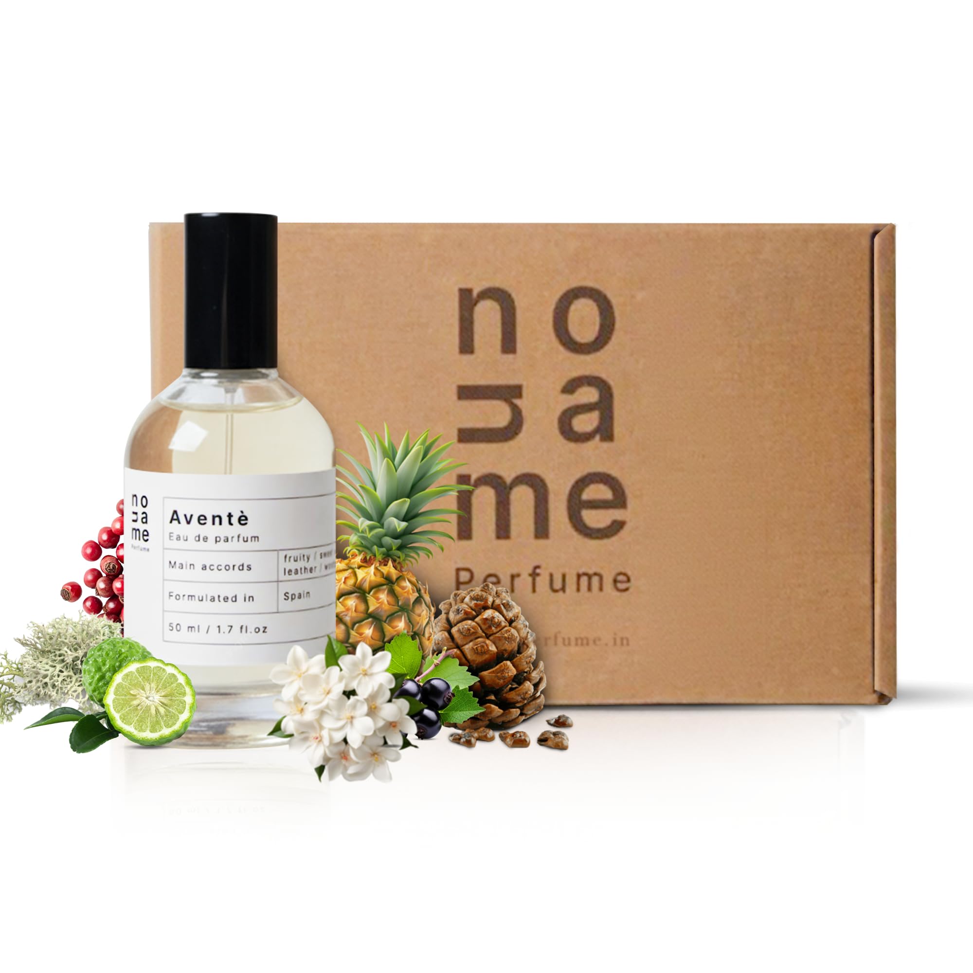 No Name Perfume Aventè Eau de Parfum 50ml – Signature Scent for Men | Vibrant Pineapple, Smoky Birch & Earthy Oakmoss | Elegant & Long-Lasting-image-38
