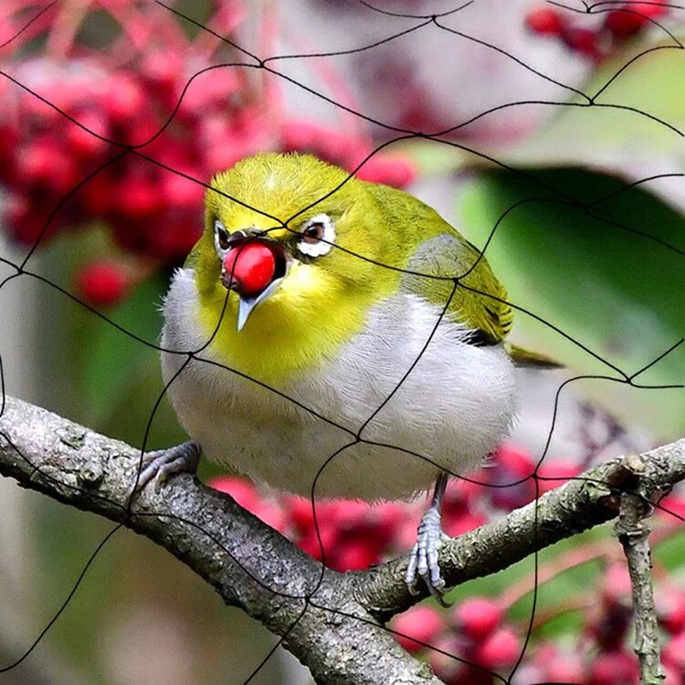 Filet de jardin anti-oiseaux - 30 x 15 m - Pour volière - Pour le jardin, la volaille, le jardin, la volaille, le jardin, la volaille, la barrière de 5 cm