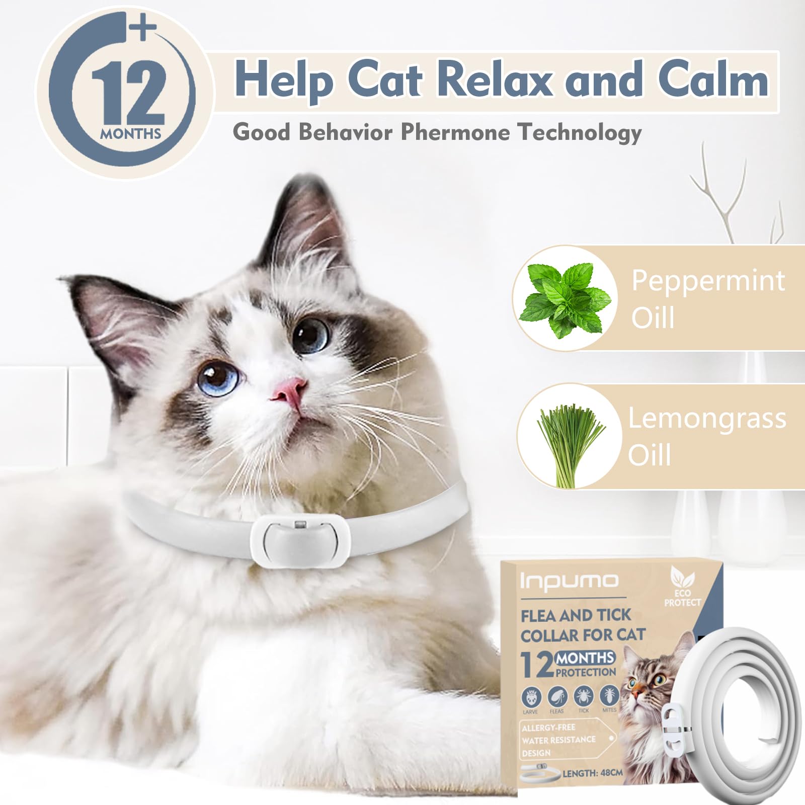 Collar Antiparasitario Gatos, Protección de 24 Meses, Ajustable, Impermeable, Ideal para Gatitos, Collar Antiparasitario Gatos Medianos y Grandes (1pcs)