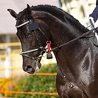Vista 9 de Campanas de oso de campamento, campanas de oso ruidosas con llavero para mascotas, campanas de advertencia al aire libre para supervivencia