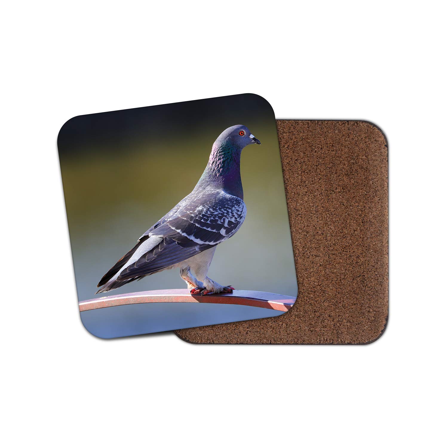 Destination Vinyl Ltd Multicolor 1 X Inquisitive Pigeon Coaster - Bird Watching Fun Animals Pretty #16047