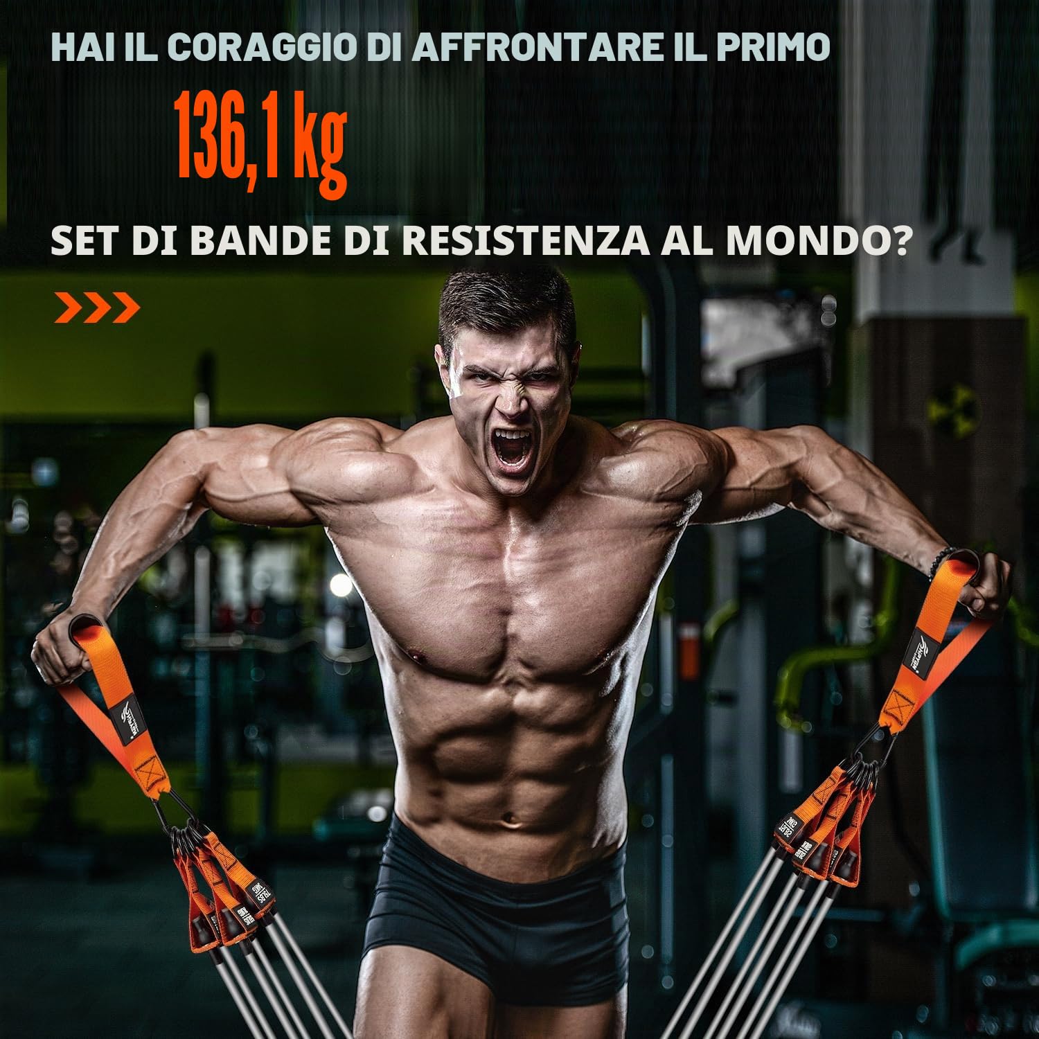 HPYGN Fasce di resistenza da 136 kg, set di fasce di resistenza con manici, cinghie per caviglie e ancoraggio per porta, zaino portatile, per interni ed esterni