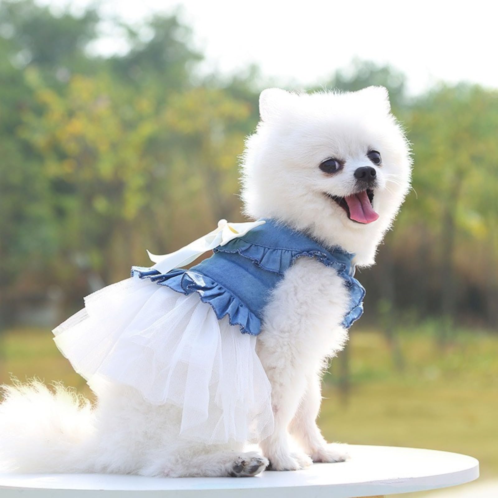 Pet Bow Princess Dress Summer Dog Vest Denim Shirt Sundress Sweet Wedding Party Dress Pet Clothes