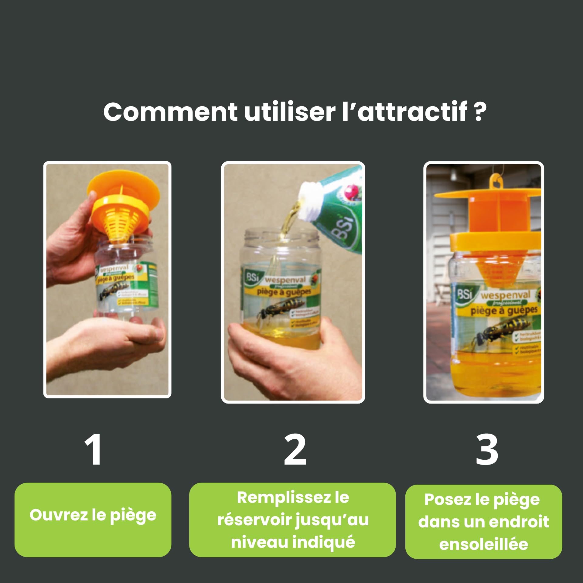 BSI Attractif Puissant Pour Piège À Guêpes Et Frelons Naturel 1L