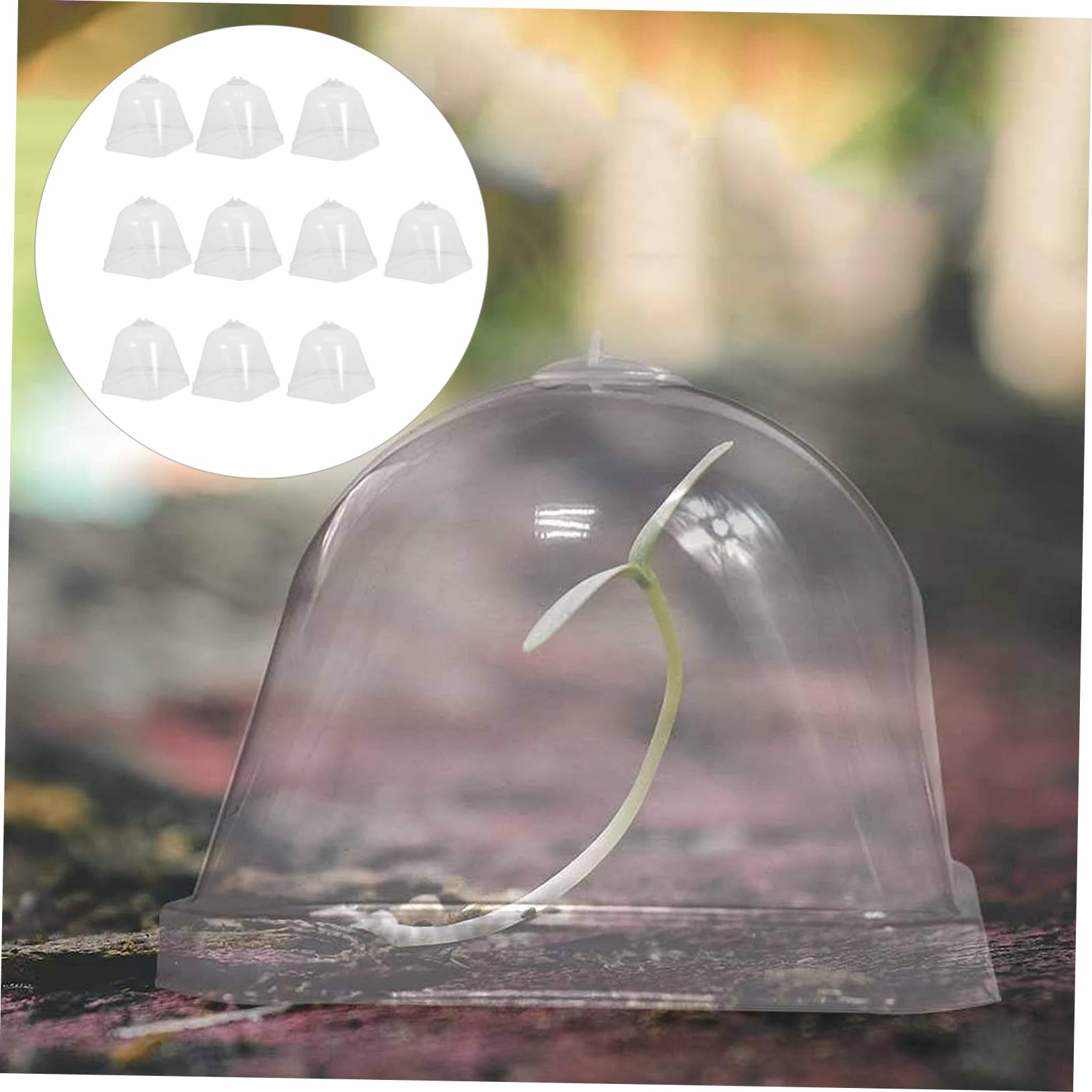 BESPORTBLE Cloche De Protection pour Plantes - Lot de 10 Cloches en Plastique Transparent pour Jardin - Et Potager Idéales Contre Le Gel Et pour La Germination des Semis Parfaites pour