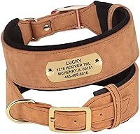 Vista 13 de PET ARTIST Collar de perro acolchado de piel sintética duradera para razas de perros medianos y grandes, personalizable con nombre, hebilla de metal