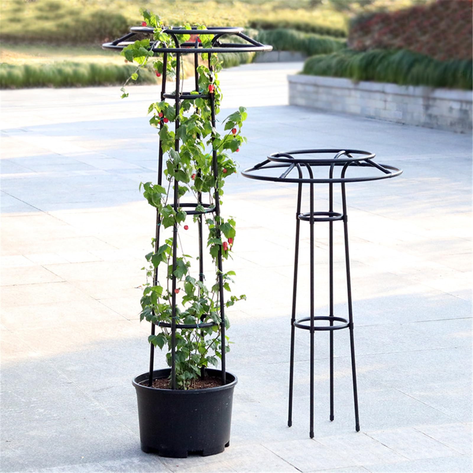 Obstspalier Metall Garten Klettern Breite Stretch Bänder für vertikale Gartenarbeit Drachenfrucht Reben Pflanze