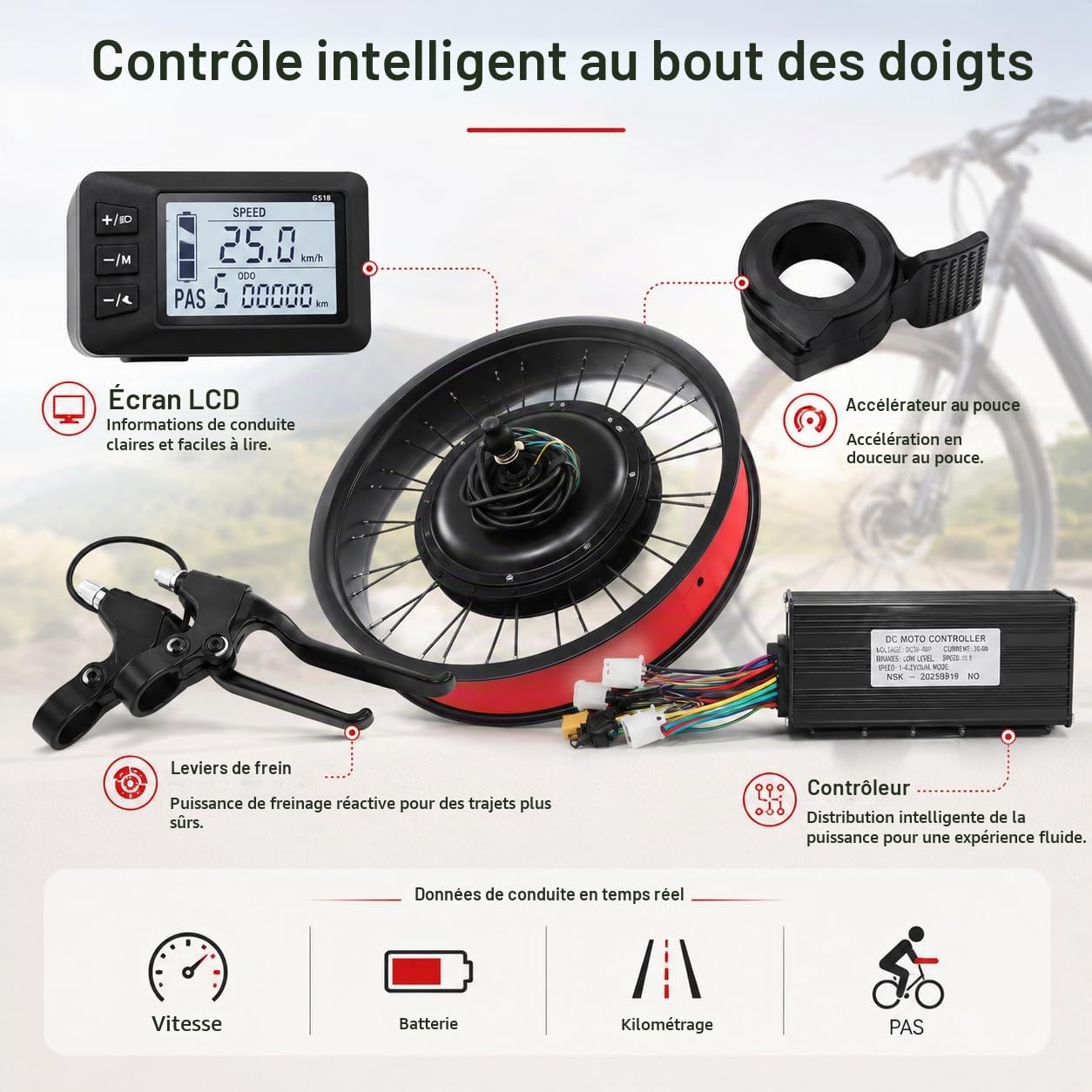 Kit Conversion Vélo Électrique 20 Pouces 48V 1000W, Moteur Roue Arrière sans Balais, Kit E Bike avec Écran LCD, Contrôleur 30A, Capteur PAS, Accélérateur au Pouce, Frein à Disque, Sans Batterie