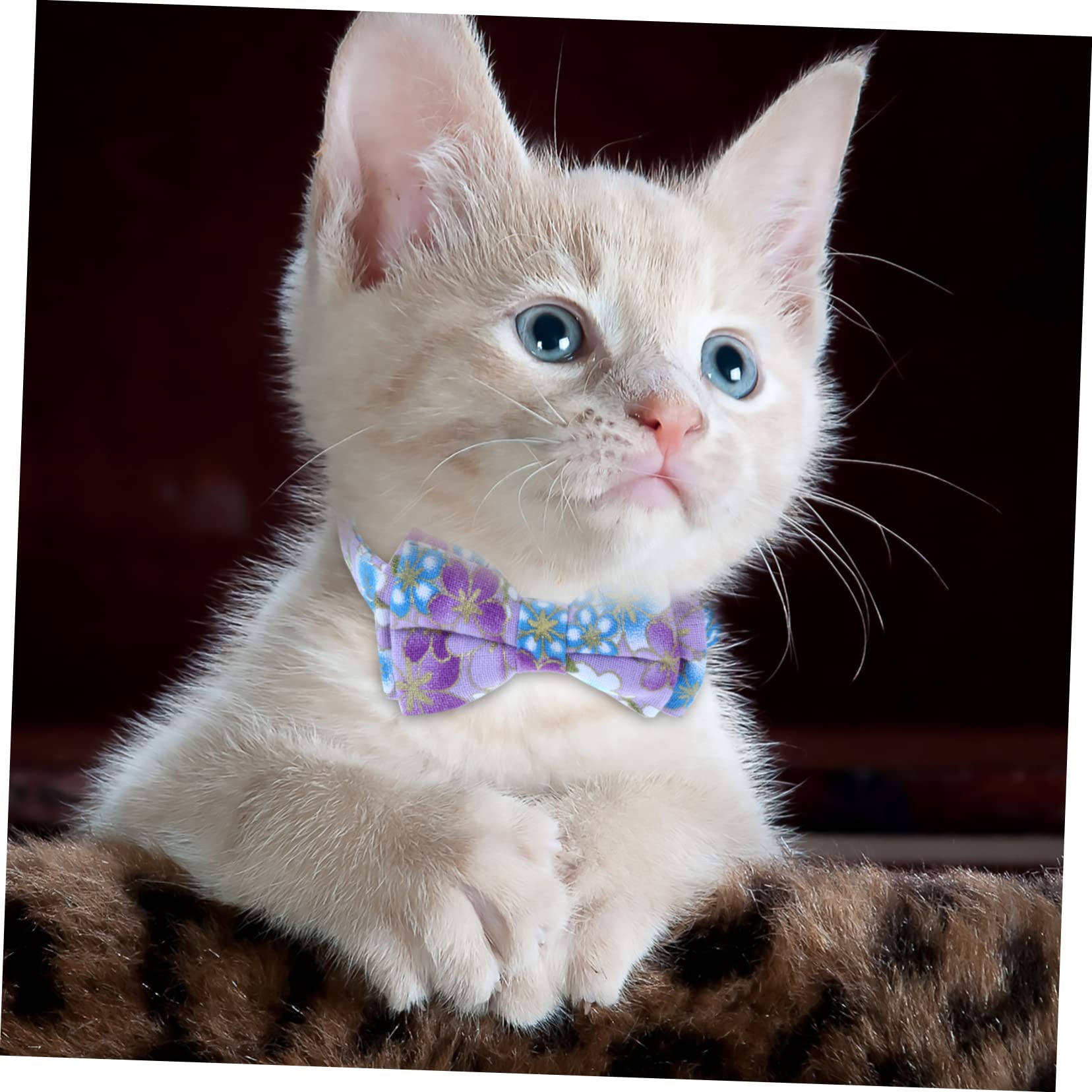 INOOMP 9pièces Collier pour Chat Réglable avec Clochettes Et Nœud Lot de Fleurs Colorées Accessoire Doux pour Animaux De Compagnie