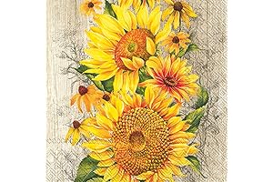 IHR Ideal Home Range Party Napkins 6.5"x6.5"