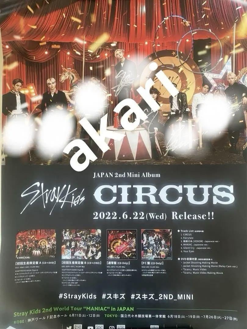 Amazon.co.jp: Straykids スキズ 直筆サイン入り ポスター : おもちゃ