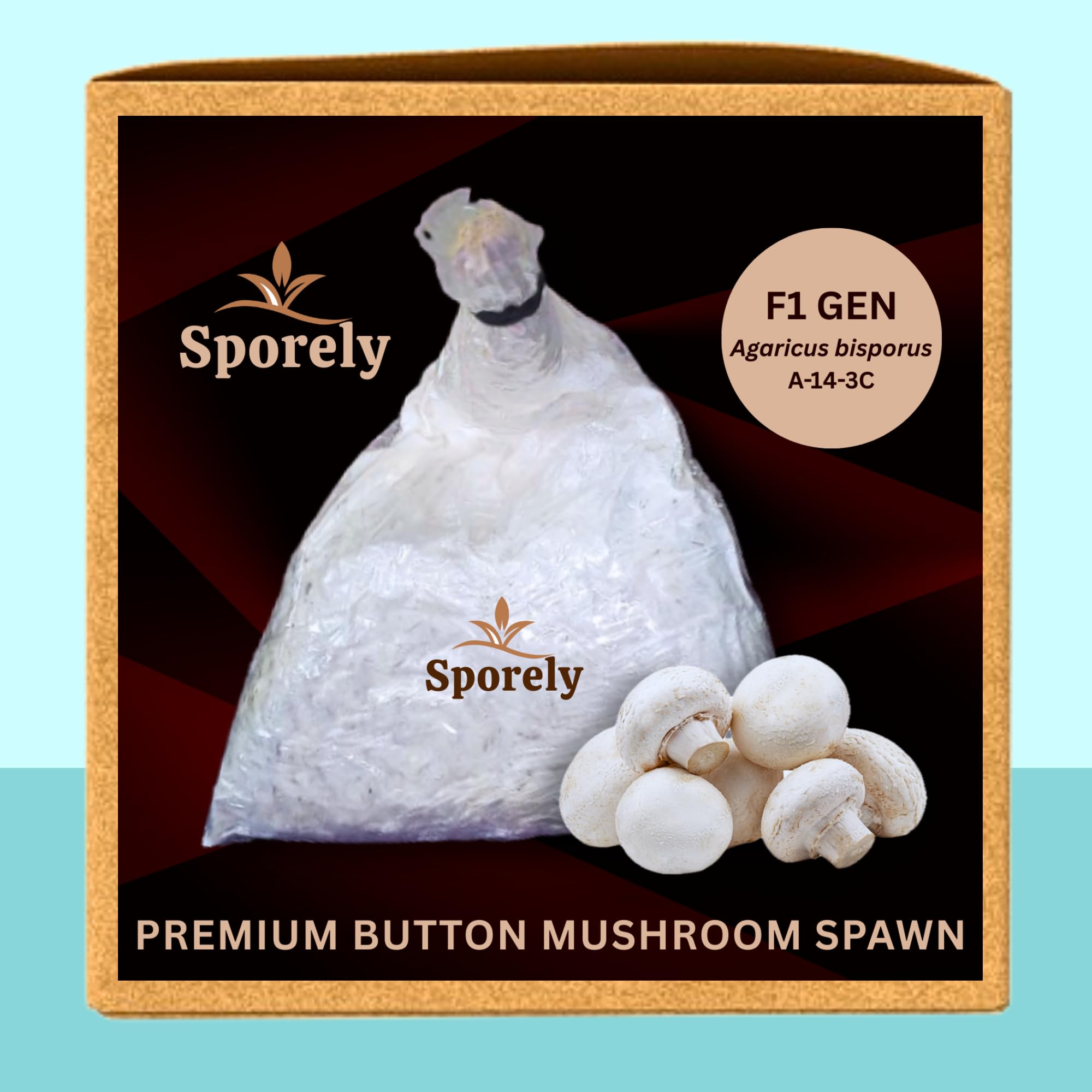 White Button Mushroom Spawn/Seed (200 gm + 2PP Grow Bags + Instruction) - First Generation White Mycelium Button Mushroom Spawn for Mushroom Farming Home Garden Agaricus bisporus Variety-image-11