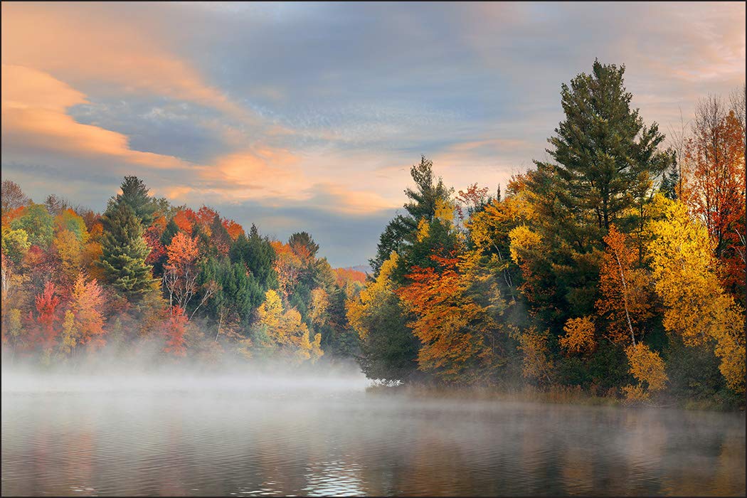 Muralo Carta da parati fotografica liscia in vinile, colori autunnali, 450 x 300 cm, per soggiorno, camera da letto, moderno, XXL, decorazione da parete, 450 x 300 cm