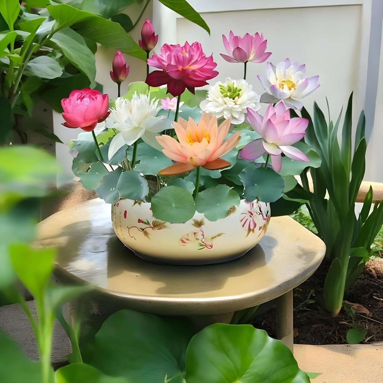 20+ Seeds Japanese Rainbow Lotus Flower Seeds, Dwarf Rainbow Lotus Flower Seeds for Home Decor by Bold Byte (B0DHV1512C) Amazon Price History, Amazon Price Tracker