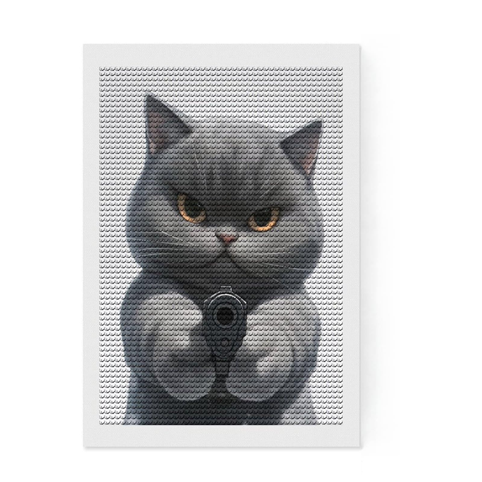 Junmoney Angry Cat with Gun Full Drill Diamond Painting Kit 8"x12", Full Kit Included, Aesthetic Room Decor, for Family Craft Time