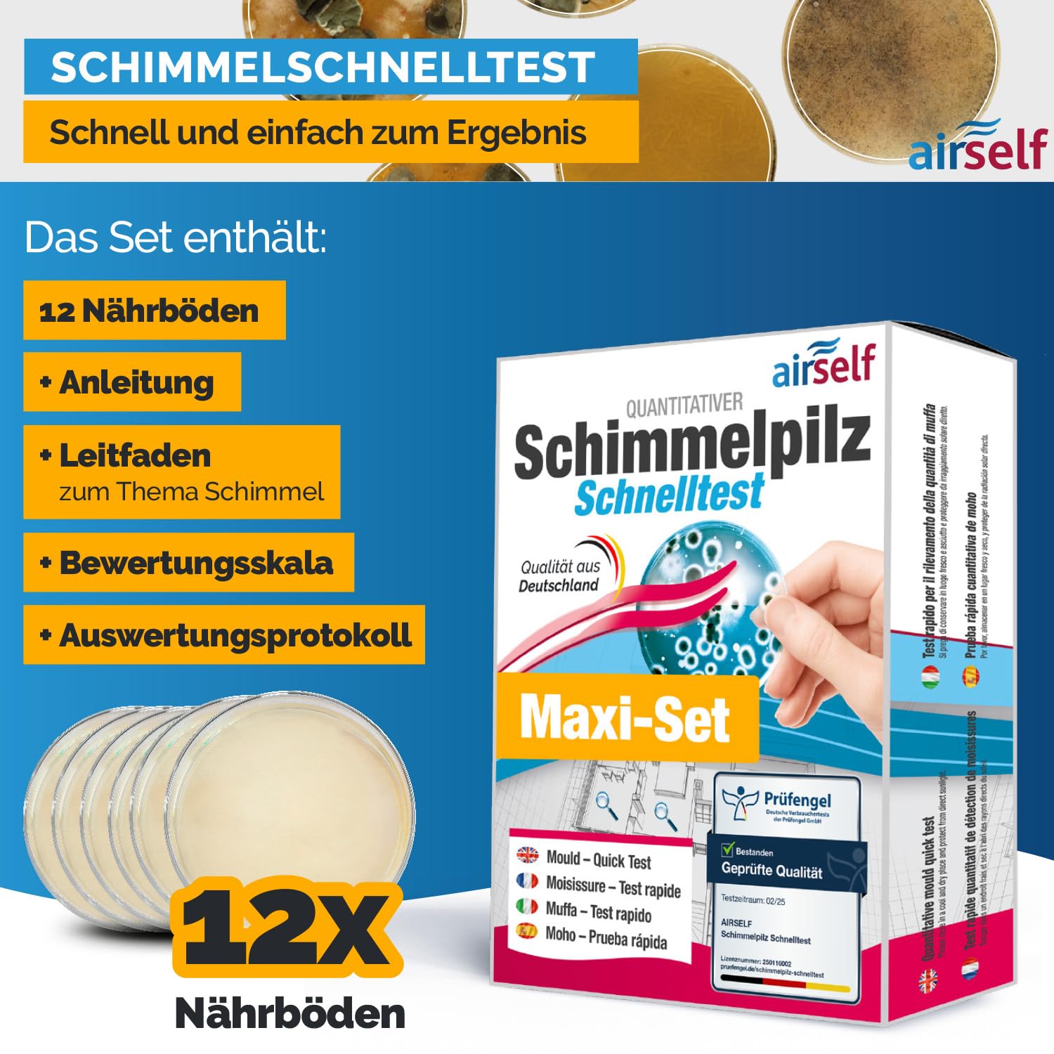 airself Schimmeltest Maxi-Set, 12 Nährböden | zur Untersuchung der Schimmelpilzbelastung in Innenräumen