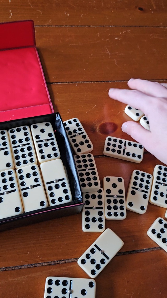 Amazon.com: WE Games Double Nine Dominoes with Spinners - Premium