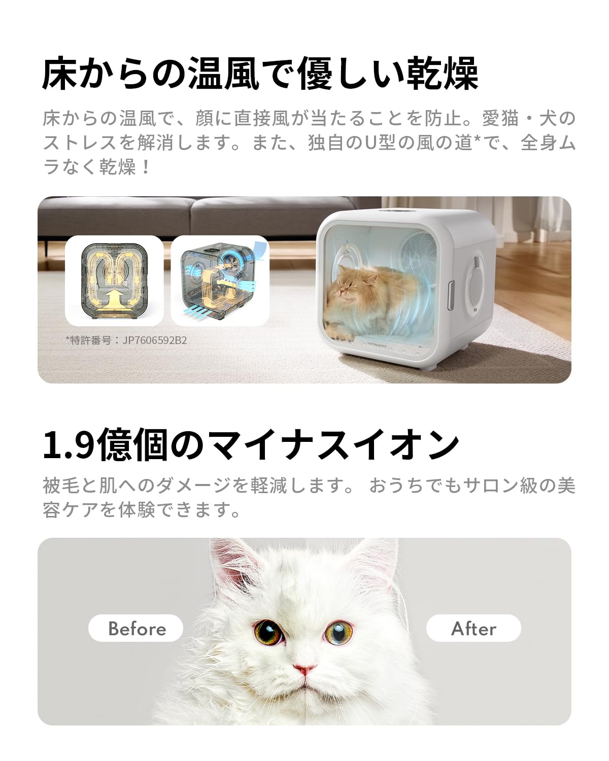 Amazon | Homerunpet ドライルーム Drybo Pro ドライボプロ ペット