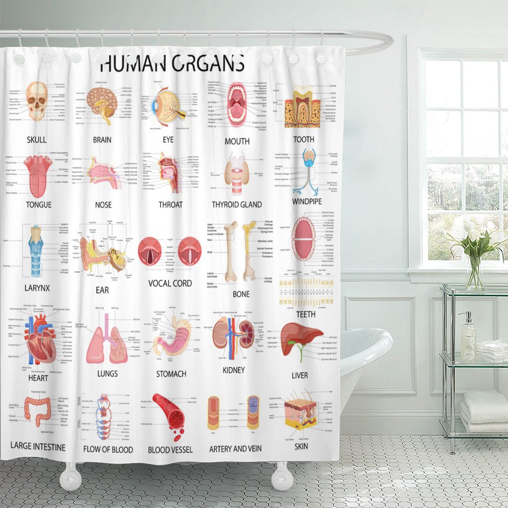 Body Shop Curtains Curtains & Drapes 2023