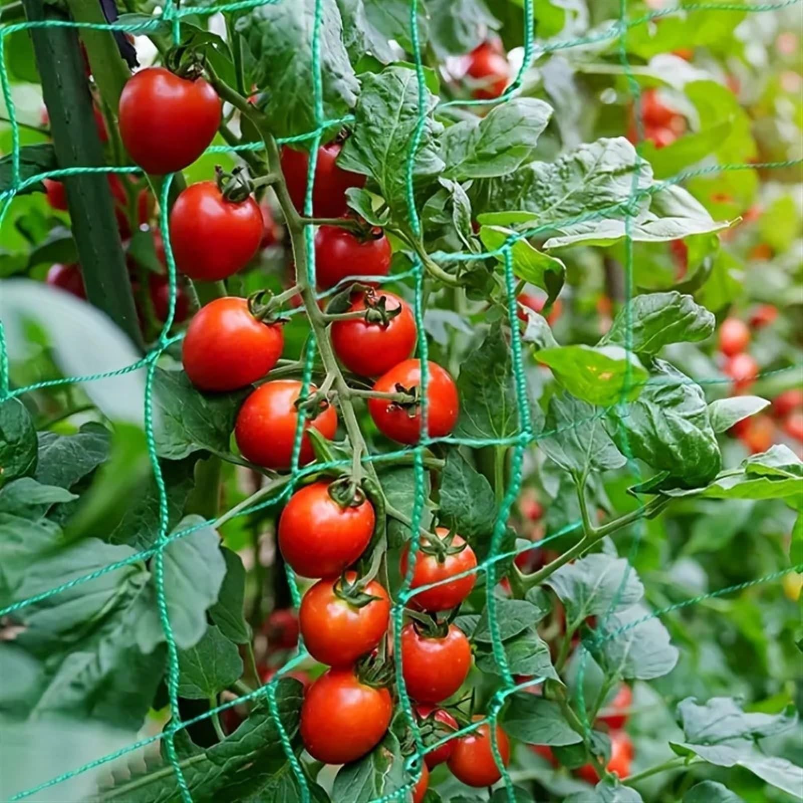 HeavyDu, rete a traliccio da giardino, 1,8 x 2,7 m, in poliestere, supporto per piante, rete quadrata per piante rampicanti e vetables, rete per coltivazione all'aperto