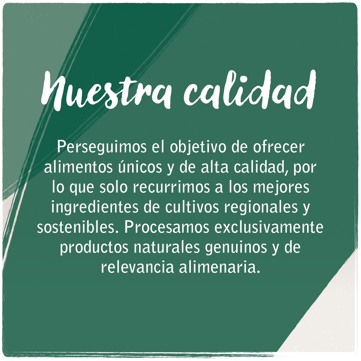 VenandiAnimal Comida seca de calidad para gatos - pack de degustación de cordero, 4 x 1,5 kg (paquete de 4), sin cereales y con carne y pescado frescos